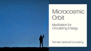Microcosmic Orbit