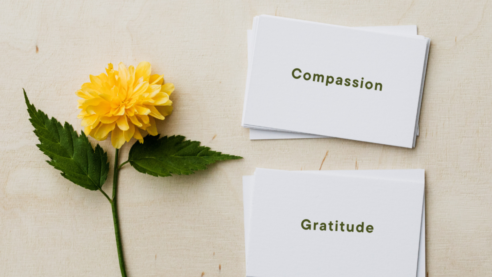 Value Cards for Gratitude and Compassion