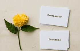 Value Cards for Gratitude and Compassion